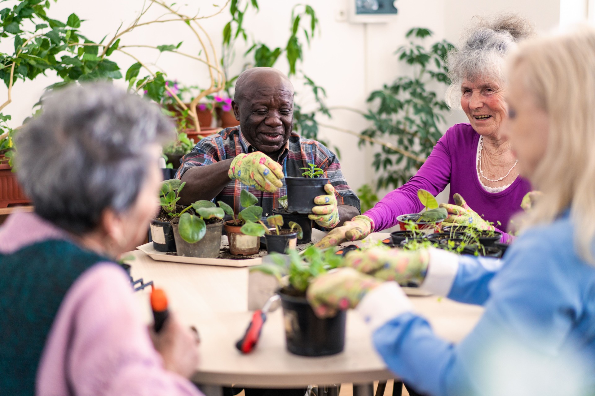 Senior home garden activities